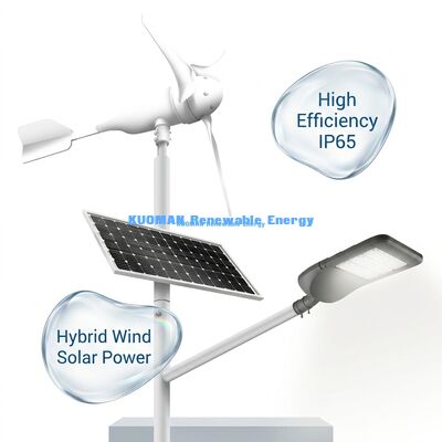 Solar Wind Hybrid LED Street Light IP65 Waterproof dengan 12 jam * 365 hari Waktu Kerja dan 100W 150W 200W Pilihan Daya