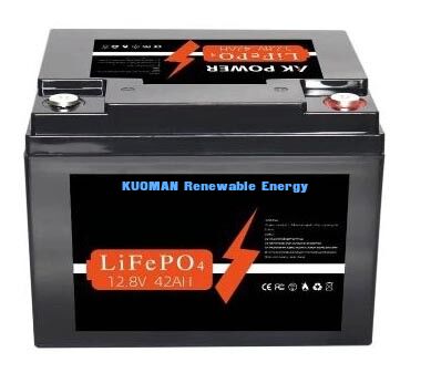 Baterai Lithium 537.6Wh 12V 40Ah Siklus Dalam Baterai LiFePO4 untuk Penyimpanan Energi dan Kereta Golf
