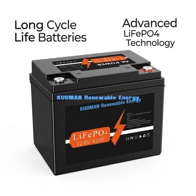 Baterai Lithium 537.6Wh 12V 40Ah Siklus Dalam Baterai LiFePO4 untuk Penyimpanan Energi dan Kereta Golf
