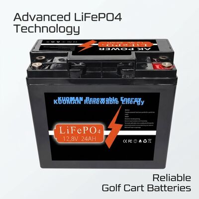 Baterai LiFePO4 12V 24Ah dengan Energi 307.2Wh dan Material Casing ABS untuk Aplikasi Siklus Dalam