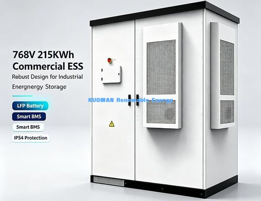 768V 215kWh Sistem penyimpanan energi Microgrid Kabinet luar yang kuat LiFePO4 Baterai ESS
