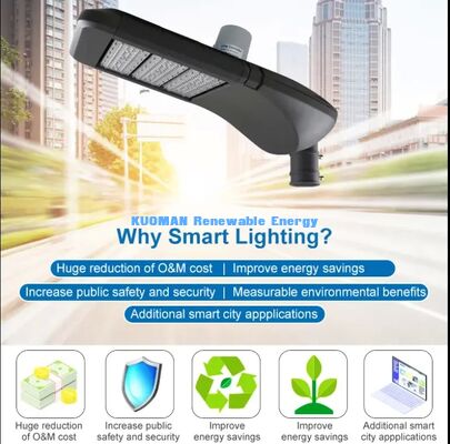 Lampu Jalan Pintar LoRaWAN Tahan Air IP65, Proteksi Petir, Penggunaan Lingkungan Luar Ruangan yang Keras