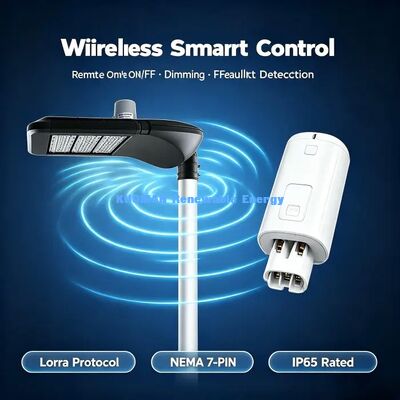 Smart DALI-dimmable LED Street Light, LoRa Single Lamp Controller, Proyek Pencahayaan Smart Village